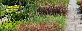 byliny i trawy zywiec